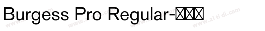 Burgess Pro Regular字体转换 Burgess Pro Regular字体转换